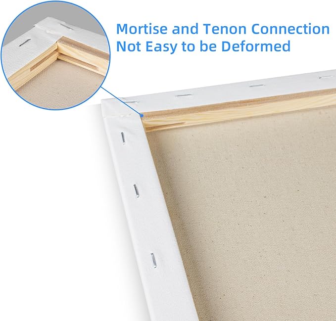 Stretched Canvases for Painting 6 Pack 16x20 100% Cotton Large Canvas Boards for Painting, White Painting Canvas for Oil, Acrylic Paint & Other Painting Media