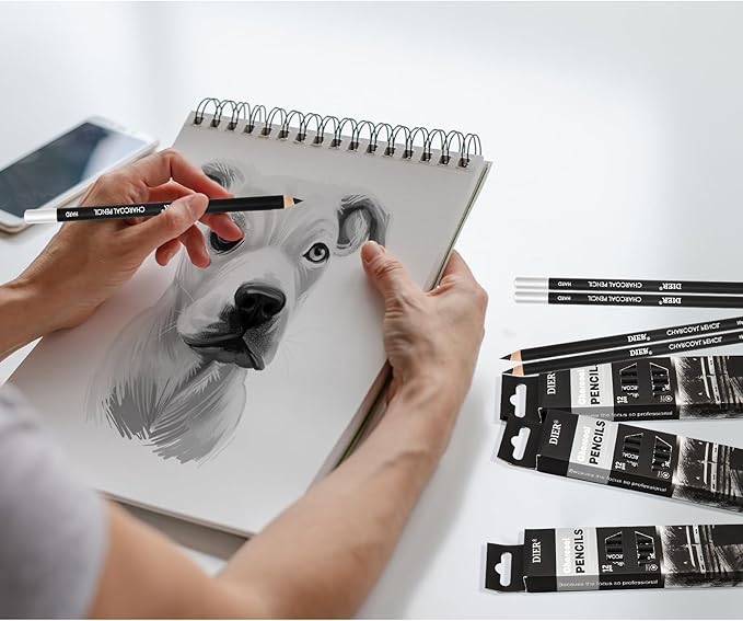 Geyoga 36 Pcs Professional Charcoal Pencils Soft, Medium and Hard for Drawing Charcoal Pencils for Sketching Shading Drawing Blending Portrait(Black, Hard)