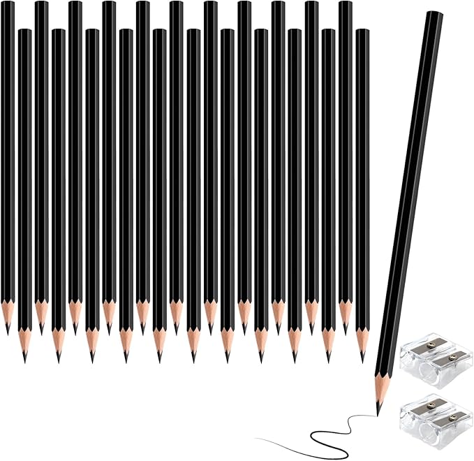 24 PCS Black Colored Pencils, Pre-sharpened Professional Wooden Art Pencils Set for Artists Painting | Premium Drawing Sketching Supplies (Black)