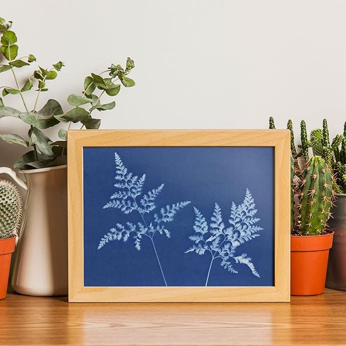 60 Sheets Sun Print Paper Cyanotype Paper Kit, A5 Sun Art Papers With 1 Plastic Tool for Printing, Light Sensitive Solar Photography Papers for Kids DIY Crafts (5.8x 8.3 inch)
