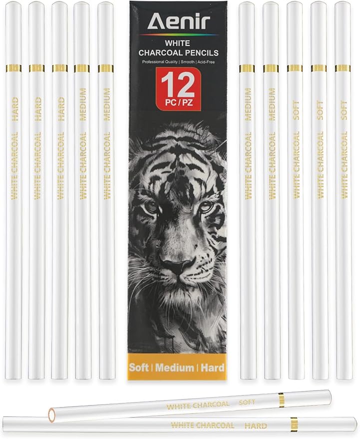 White Charcoal Pencils, Pack of 12 Charcoal Drawing Pencils, Charcoal Pencils for Artists, Art Supplies for Drawing and Highlighting.