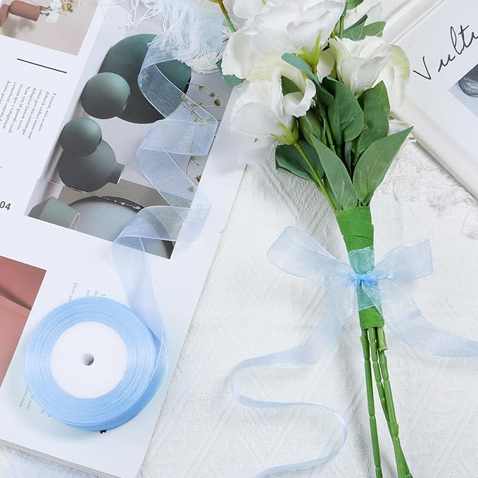 Light Blue Ribbon for Gift Wrapping 3/8 inch Sheer Organza Ribbon for Flower Bouquet Tulle Chiffon Ribbons for Wedding Invitations Christmas Halloween Decorations Crafts 50 Yards
