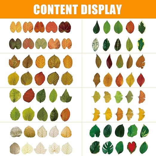8 Roll Leaves Washi Tape Masking Tape Decorative Fallen Leaves Aesthetic Stickers for DIY Diary Planner Scrapbooking Art Craft Supplies (50Petals/Roll, Box Set)