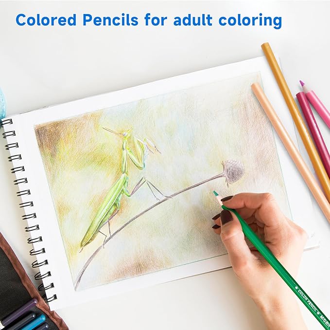 M&G 24-color Colored Pencils Set for Adult Coloring Books, Christmas Stocking Stuffers for Adults Kids Artists Teens Beginners Drawing Sketching Pencil,Soft core color pencils for Sketching, Shading