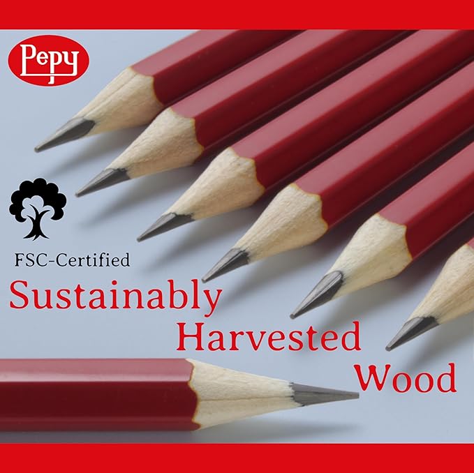 Pepy Graphite Professional Drawing Pencils - Set of 12 9B Pre-Sharpened Black Lead Pencils; Perfect for Drawing, Sketching and Shading, Graphic and Fine Art