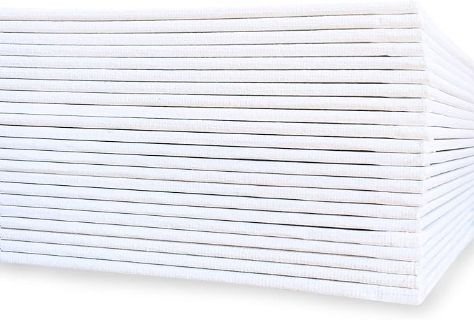 milo Canvas Panel Boards for Painting | 8x10 inches | 24 Pack of Flat Canvas Panels, Primed & Ready to Paint Art Supplies for Acrylic, Oil, Mixed Wet Media, & Pouring, Bulk Painting Party Pack