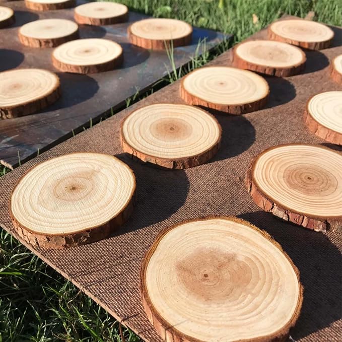 Wood Slices Wooden Discs for Crafts 3.1-3.5 Inch, 22 Pcs