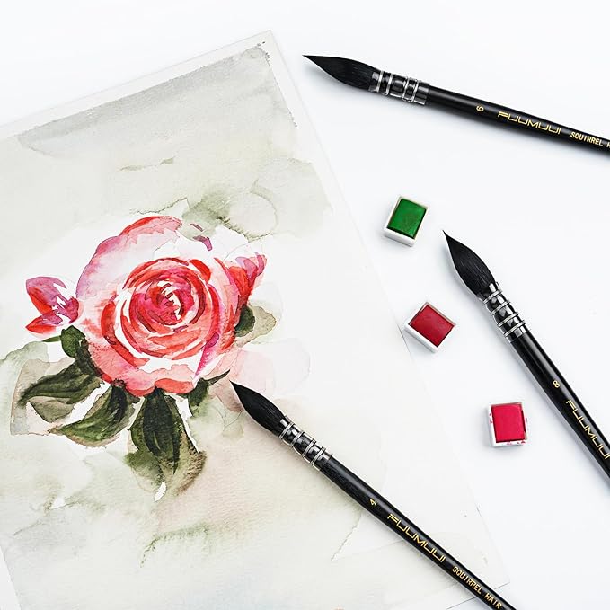 Professional Watercolor Brush, Fuumuui Natural Squirrel Hair Mop Brush, Round Quill Detail Fine Tip Watercolor Paint Brush for Water Color Gouache Ink Painting - Sizes #10