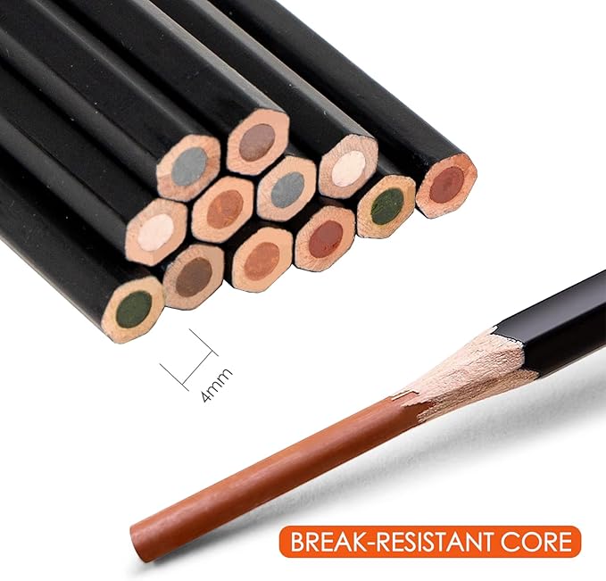 Marie's Colored Charcoal Pencils Set, 6 Colors 12 Pieces, Pastel Chalk Pencils for Drawing, Sketching, Coloring & Shading, Art Supplies for Adult Artists