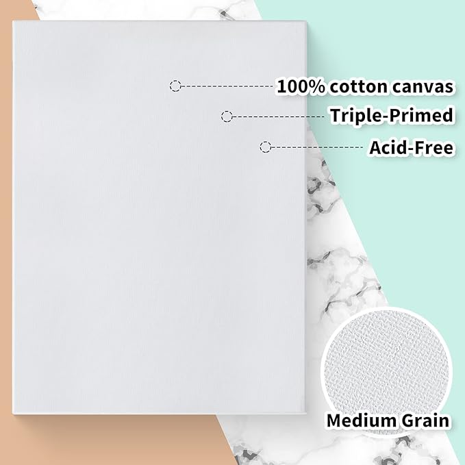 Thenshop 20 Pack Stretched Canvas for Painting 8 x 10 Inch Triple Primed Acid Free 100% Cotton White Blank Canvas for Painting Supplies Oil and Acrylic Pouring Art Watercolor