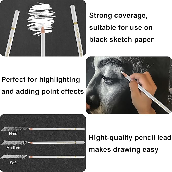 White Charcoal Pencils, Pack of 12 Charcoal Drawing Pencils, Charcoal Pencils for Artists, Art Supplies for Drawing and Highlighting.