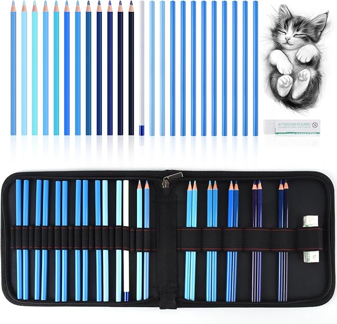 Mifuner Professional Drawing Set, 12 Colored Pencils & 12 Graphite Pencils with Eraser & Case, Art Supplies for Sketching Shading Blending, Gifts for Artists Adults Beginners.Blue Black