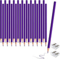 24 PCS Purple Colored Pencils, Pre-sharpened Professional Wooden Art Pencils Set for Artists Painting | Premium Drawing Sketching Supplies (Purple)