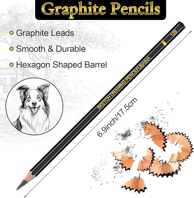 216 Pcs Drawing Sketching Pencil Set Professional (12b - 4h) Graphite Charcoal Gift Bulk for Artists Beginners, Pro Artists, Drawing Art, Sketching
