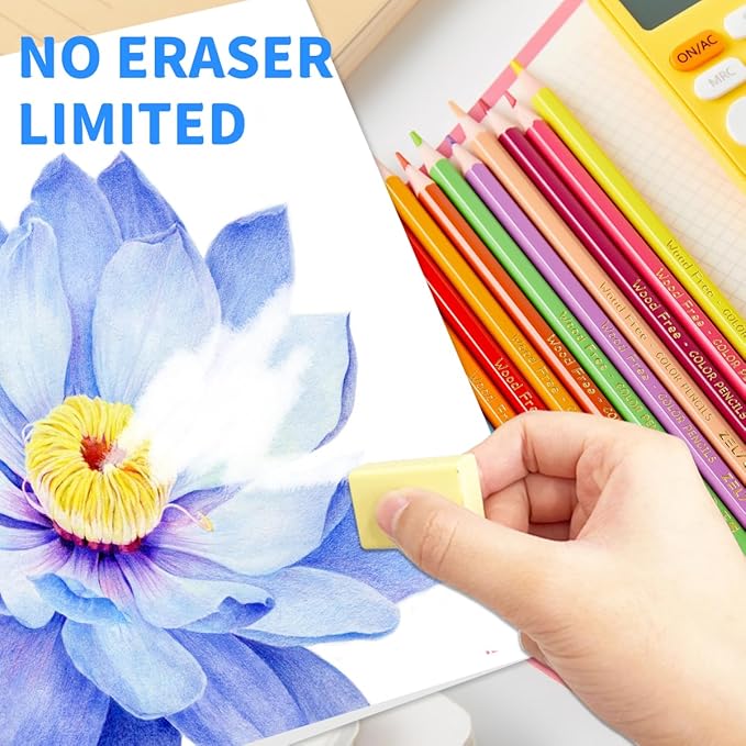 24 Pack Colored Pencils, Soft Core, 48 Count Pre-sharpened Coloring Pencils Bulk, Erasable Vibrant Colour Pencil for Painting, Drawing, Sketching, Ideal Back to School Supplies