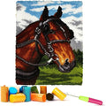 EMISTEM Latch Hook Kits for Adults - DIY Latch Hook Rug Kits, Crochet Kit for Beginners, Rug Making Kits with Printed Canvas, Gift Packaging.(Snow-Capped Mountains and Fine Horse, 20x15)