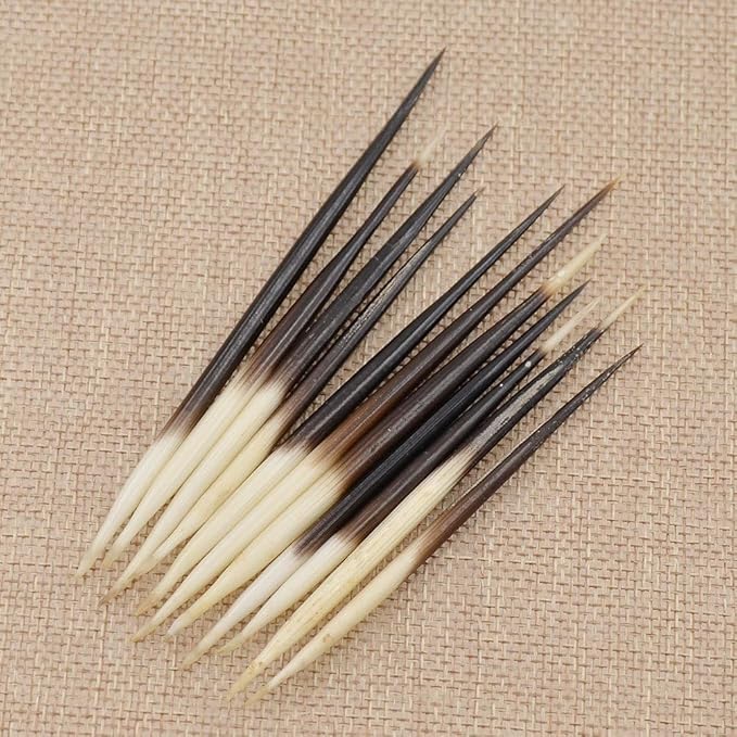 Jinshining 10Pcs Porcupine Quills Hair Stick Indian Crafts Accessories Fishing Buoy DIY Sewing Project Kits Arts