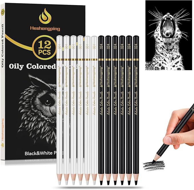 Heshengping 6 Black 6 White oil color pencils coloring drawing pencil oil-based wooden colored pencils for artists beginners artists, 12 pack