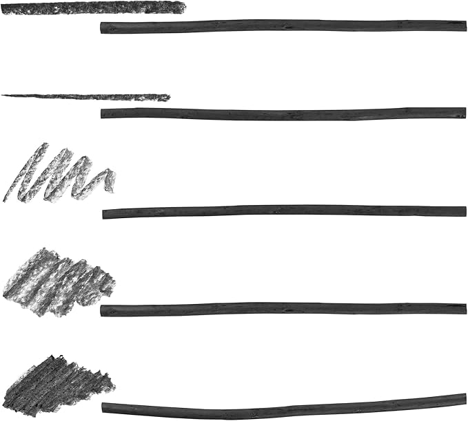 Pacific Arc Artist Vine Charcoal, Soft, Black 4 Charcoal Sticks for Drawing, Sketching, and Fine Art