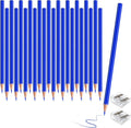 24 PCS Blue Colored Pencils, Pre-sharpened Professional Wooden Art Pencils Set for Artists Painting | Premium Drawing Sketching Supplies(Blue)