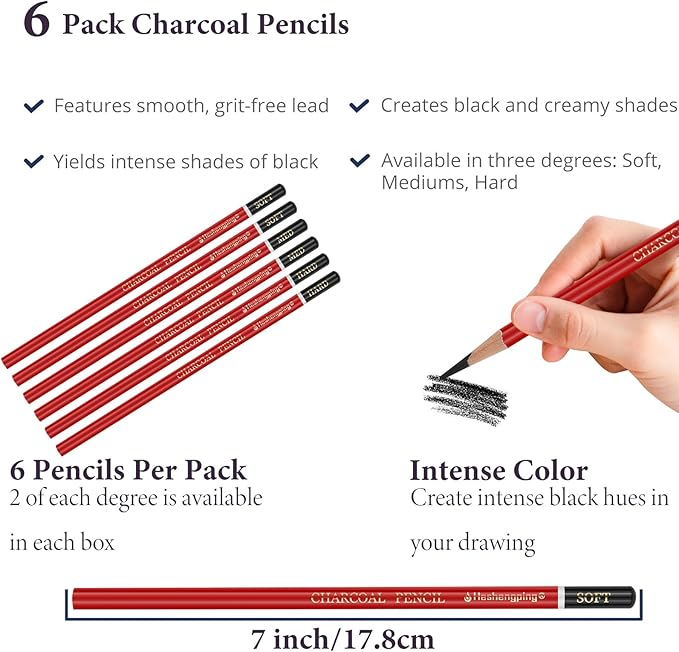Professional Charcoal Pencils for drawing, Set of 6, Black Charcoal Drawing Pencils (Soft, Medium, Hard), Art Supplies for Drawing Sketching, Shading