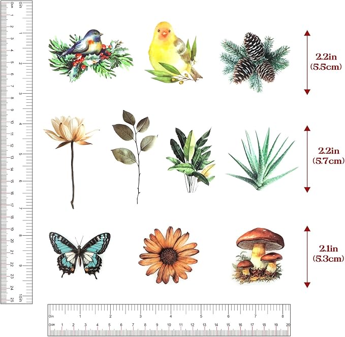 Dizdkizd 200-Piece Vintage Floral Greenery Bird Sticker for Scrapbooking, Journaling, Crafts, Seasonal Nature Scrapbook Sticker Pack, Transparent and Waterproof
