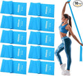 DEEKIN 10 Pcs Resistance Bands Professional Exercise Elastic Bands Latex-Free Yoga Starter Set for Pilates, Physical Therapy, Strength Training, Yoga, Working Out for Women Home Gym