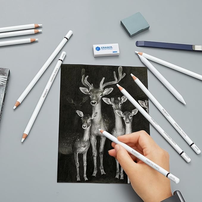 PANDAFLY White Charcoal Pencils Set, Professional 14 Piece Sketch Highlight Charcoal Pencils for Drawing, Sketching, Shading, Blending, White Chalk Pencils for Beginners & Pro Artists
