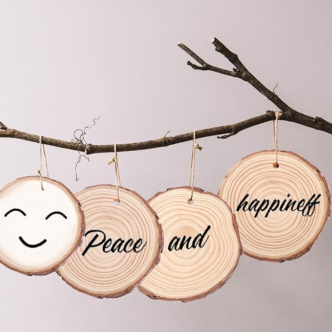 60 PCS 4 inch Unfinished Wood Slices with Hole, Natural Wood Slices, Predrilled with Hole Wood Slice for DIY Arts Craft Christmas Ornaments by GNIEMCKIN