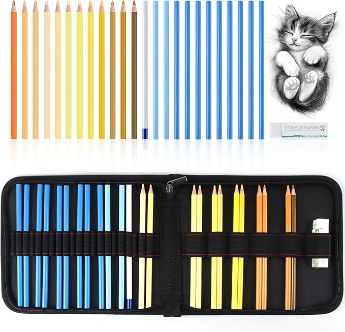 Mifuner Professional Drawing Set, 12 Colored Pencils & 12 Graphite Pencils with Eraser & Case, Art Supplies for Sketching Shading Blending, Gifts for Artists Adults Beginners.Yellow Black