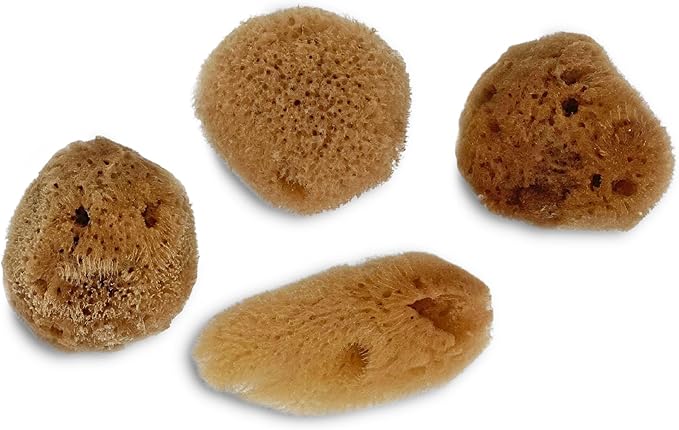 Lullingworth® Artist Natural Sea Sponges: Unbleached 10 Pack 2"-4" Value Set; Creative Art, Faux Painting Effects, Watercolor, Texturing, Marbling, Clay, Pottery, Ceramics, Crafts & Hobbies