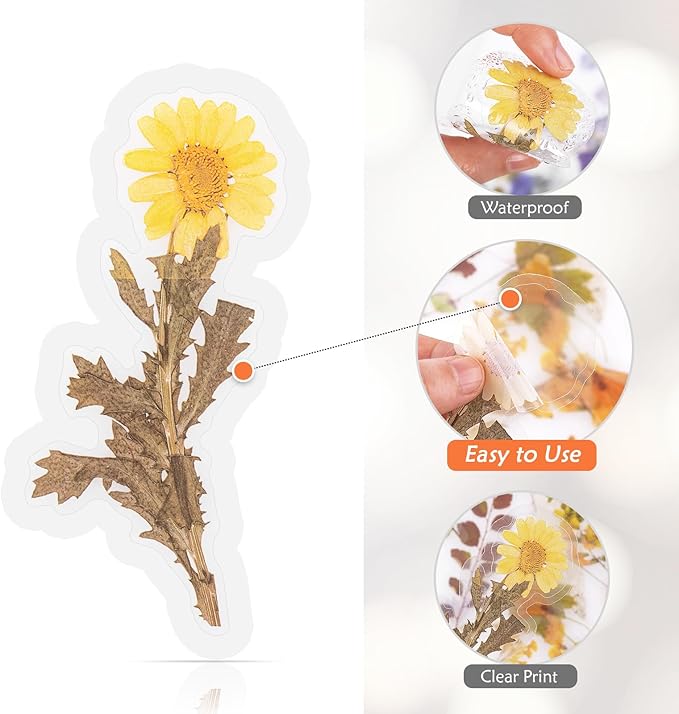 160pcs Pre-Cut Scrapbooks Natural Stickers, Floral and Plant Sticker for DIY Craft, Planners, Journal, Notebook, Laptop, Cell Phone, Calendars, Wedding Scrapbooking