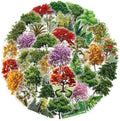 Forests & Trees Stickers for Teens Boy Girls Kids|50 Pcs|Clear PET Waterproof Stickers for Laptop Computer Phone Tablet Luggage Flasks Water Bottle Notebook Scrapbook,Trendy Plant Decals Pack(Tree)