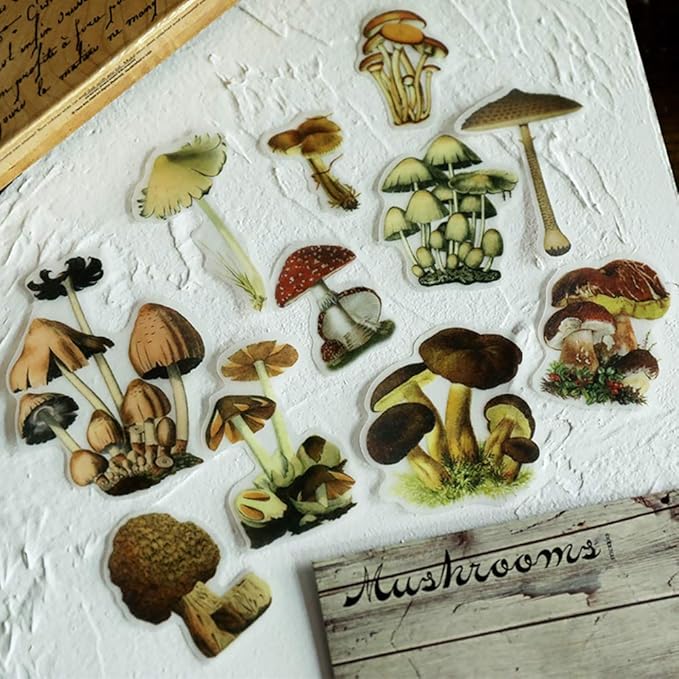 Doraking Mushroom Stickers - 100PCS Waterproof Paper Decals for Scrapbook Decoration, Sulfuric Adhesive, Irregular Shape, All in One Variety Pack