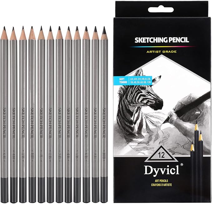 Dyvicl Professional Drawing Sketching Pencil Set - 12 Pieces Drawing Pencils 10B, 8B, 6B, 5B, 4B, 3B, 2B, B, HB, 2H, 4H, 6H Graphite Pencils for Kids, Beginners, Pro Artists