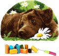 EMISTEM Latch Hook Kits for Adults - DIY Latch Hook Rug Kits, Crochet Kit for Beginners, Rug Making Kits with Printed Canvas, Gift Packaging. (Dog in Flowers,15x21)