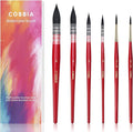 Watercolor Brush Set, Soft Synthetic Squirrel Hair, Round Tip Mop Brushes for Professional Artists - Gouache, Fine Detailing, Acrylic, Gouache, Oil(6Pcs)