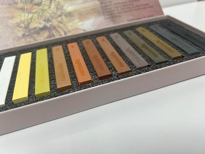 12-Pack Earth Tone Square Soft Pastels Water-Soluble Blendable Artist Drawing Pastels Set for Artists & Hobbyists Drawing, Painting & Sketching (Brown)