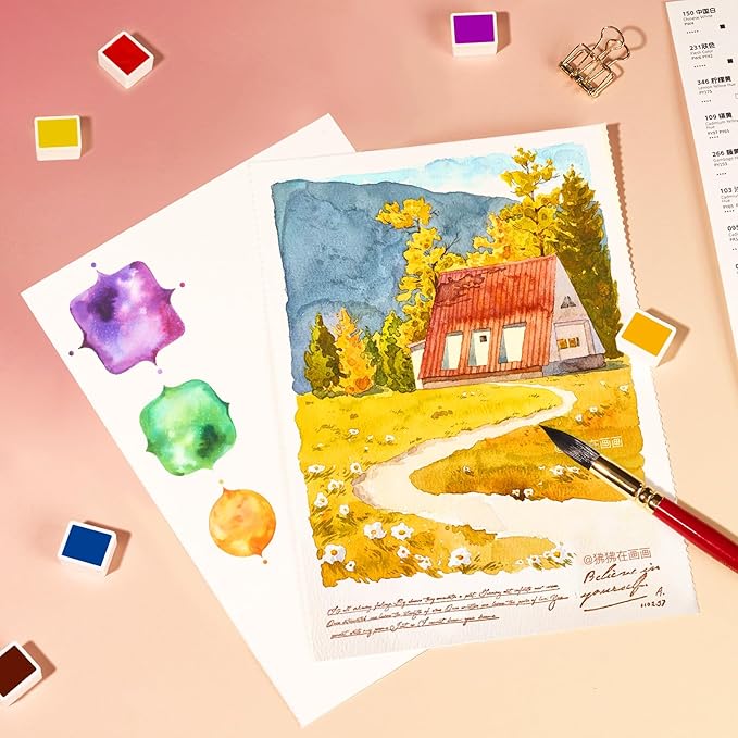 Paul Rubens Watercolor Paint Set, 48 Colors Solid Watercolor Paint, Easy To Blend And Diffuse Watercolor Palette, Compact And Portable Travel Watercolor Set Suitable For Beginners And Professionals