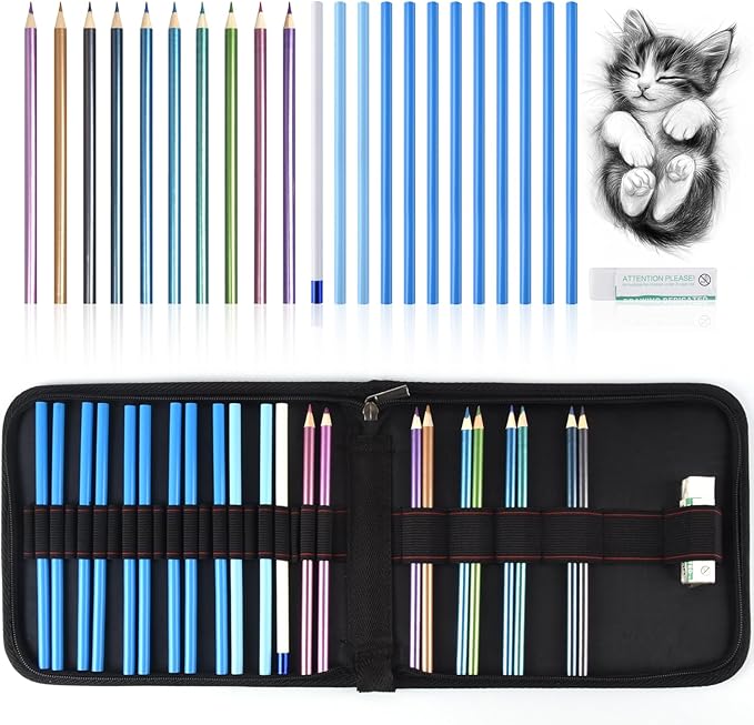 Mifuner Professional Drawing Set, 10 Colored Pencils & 12 Graphite Pencils with Eraser & Case, Art Supplies for Sketching Shading Blending, Gifts for Artists Adults Beginners.Metallic Black
