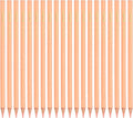 PATIKIL Skin Color Colored Pencils Set,20 Pcs Oil Color Pencils Wooden Coloring Drawing Pencil for Artists Art Painting