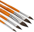 Falling in Art Cats Tongue Watercolor Brushes, 5 Pcs Oval Wash Paint Brushes, Cat Tongue Paint Brush for Petals, Leaves, Watercolor and Acrylic Painting