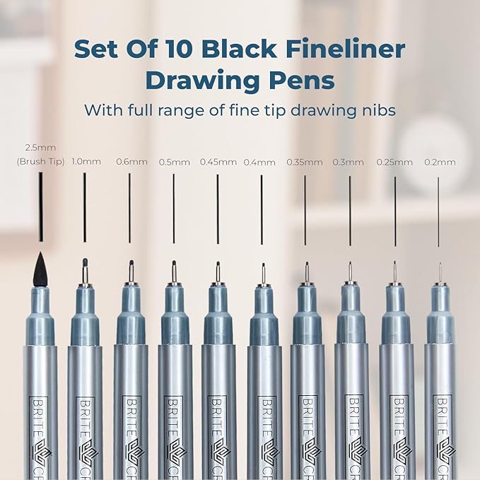 Drawing and Sketching Pens Set - 10 Black Fineliner Pens 0.2mm to 1.0mm Width Tips & 2.5mm Micro Calligraphy Brush-tip Pen, Ideal Gift Idea for Artists and Beginners