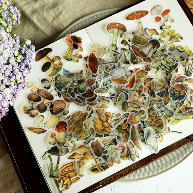 Doraking Mushroom Stickers - 100PCS Waterproof Paper Decals for Scrapbook Decoration, Sulfuric Adhesive, Irregular Shape, All in One Variety Pack