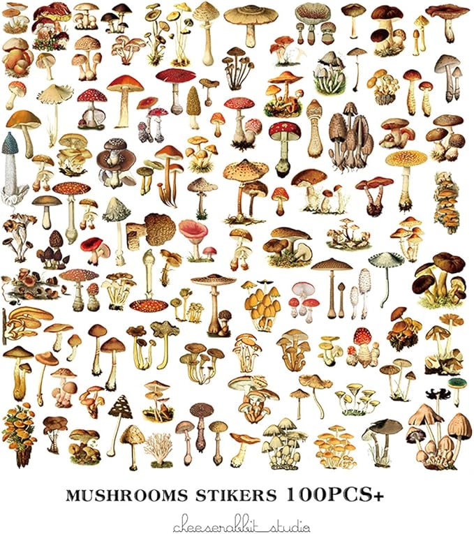Doraking Mushroom Stickers - 100PCS Waterproof Paper Decals for Scrapbook Decoration, Sulfuric Adhesive, Irregular Shape, All in One Variety Pack