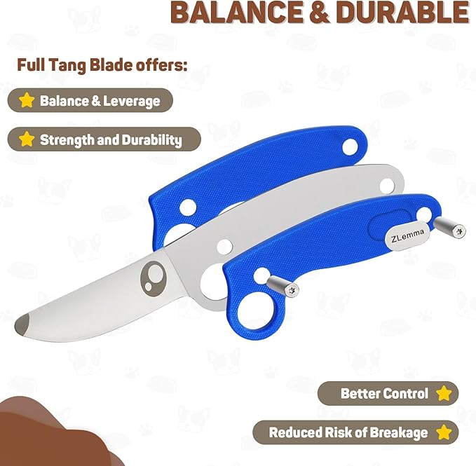 Kids Knife Boy Scout Knife with Educational Ring & Sheath & Rounded Tip - Whittling Knife Blue G10 Handle for Boys/Girls First Сamping Cutting