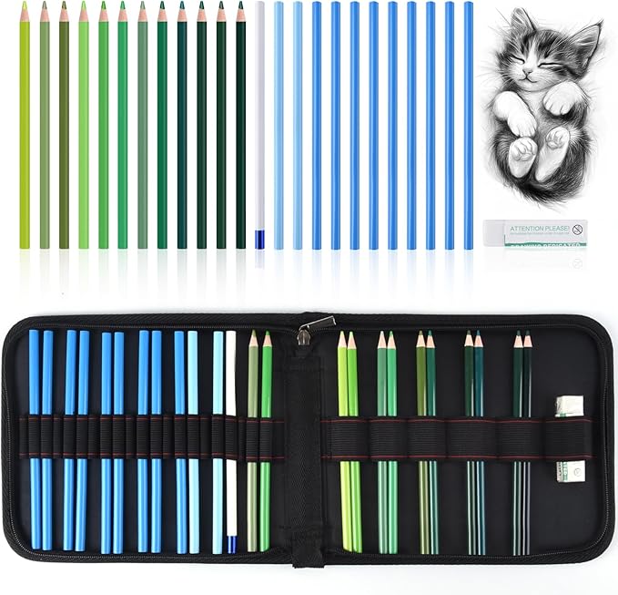 Mifuner Professional Drawing Set, 12 Colored Pencils & 12 Graphite Pencils with Eraser & Case, Art Supplies for Sketching Shading Blending, Gifts for Artists Adults Beginners.Green Black