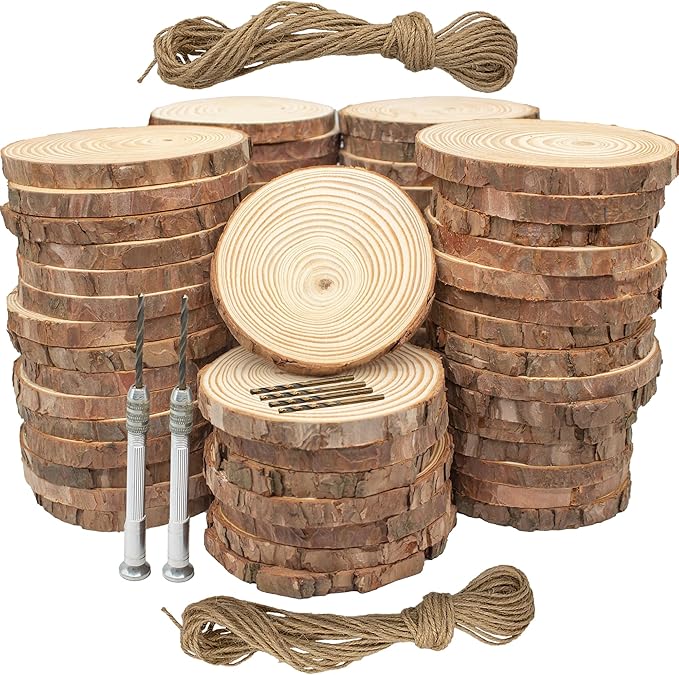 Unfinished Natural Wooden Slices 3.2-4 Inch Wood Circles for Crafts DIY Christmas Ornament Craft Wood Kit with Bit,Blank Round Wood Slice with Bark for Art,Painting,Party (Wood Slices 70 pcs)