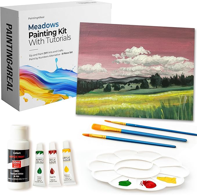 Painting4Real DIY Art Painting Kit for Adults – Learn to Paint Meadows with Video Tutorials – 9 Pieces Acrylic Paint Set for Adults –Perfect Christmas Crafts & Holiday Gifts for Art Lovers
