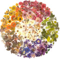 Maxleaf Pressed Flower Stickers Set, 270PCS Dried Flowers Waterproof Stickers Decals Floral Botanical Journaling Stickers for Scrapbook Supplies Junk Journal Bullet Journals Planner Laptops Art Crafts